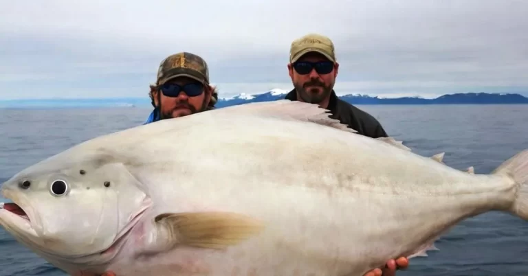 How To Catch Halibut Fish