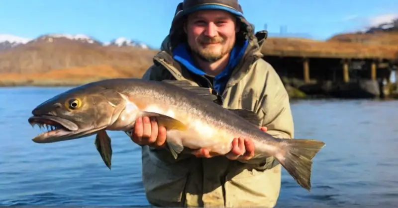 Kodiak Fish