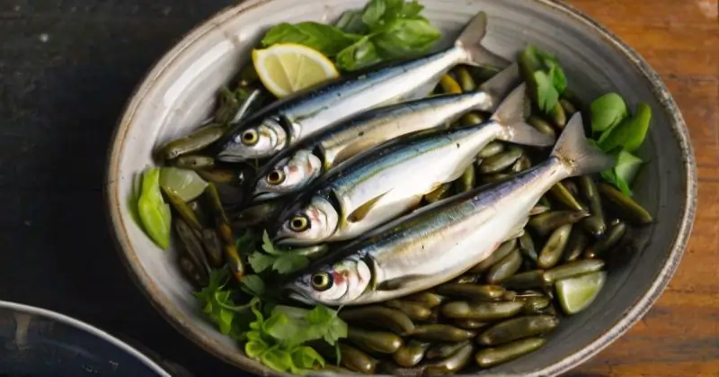 Sardines