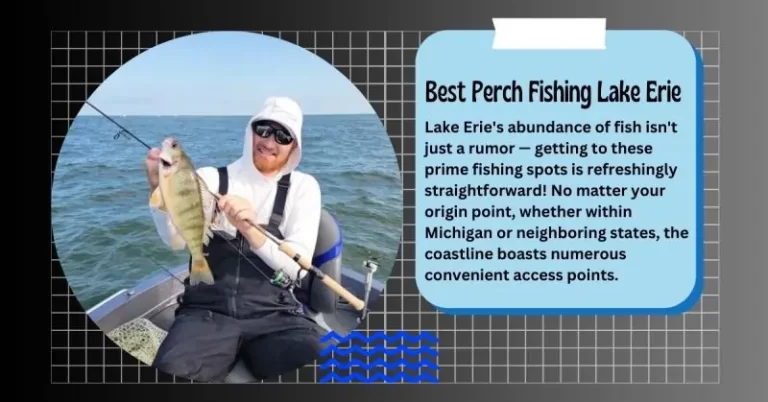 Best Perch Fishing Lake Erie