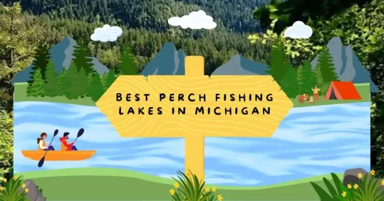 Best Perch Fishing Lakes In Michigan