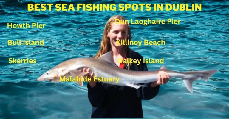 Best Sea Fishing Spots In Dublin