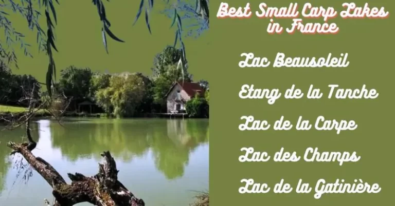 Best Small Carp Lakes in France