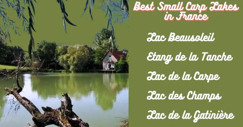 Easy Carp Lakes in France – Spend Time Catching! 🎣