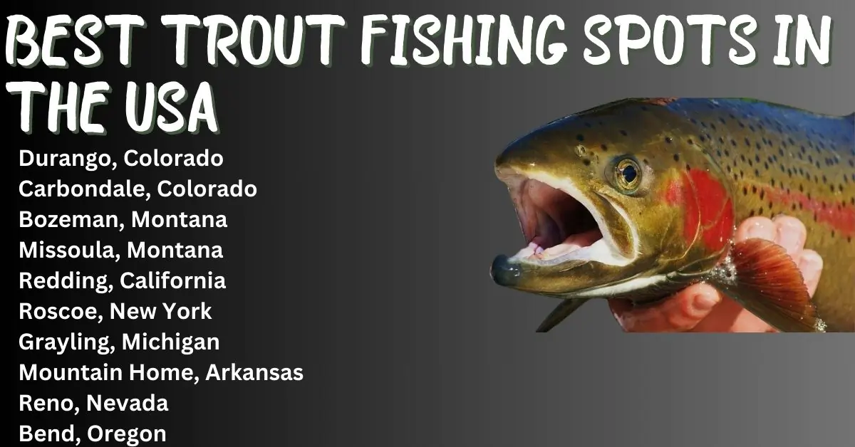 Best Trout Fishing Spots in the USA