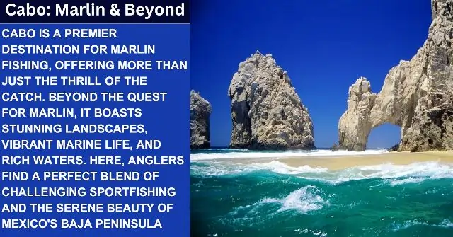 Cabo: Marlin & Beyond