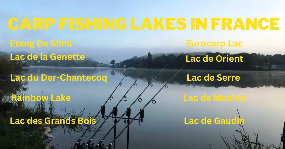 Top 10 Carp Fishing Lakes in France