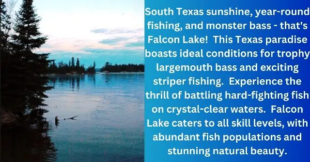 Falcon Lake