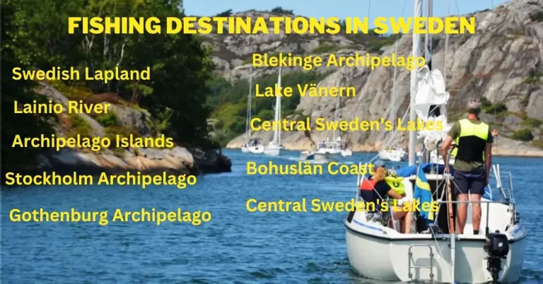 Fishing Destinations In Sweden
