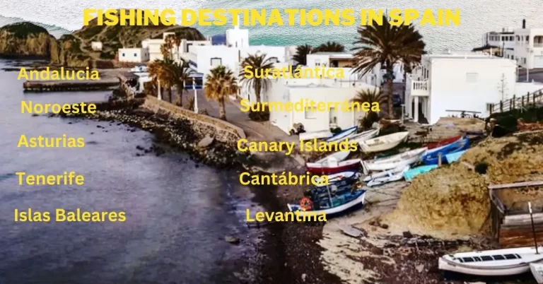 Fishing Destinations in Spain