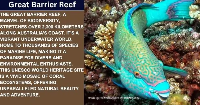 Great Barrier Reef