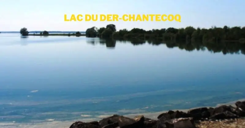 Lac du Der-Chantecoq