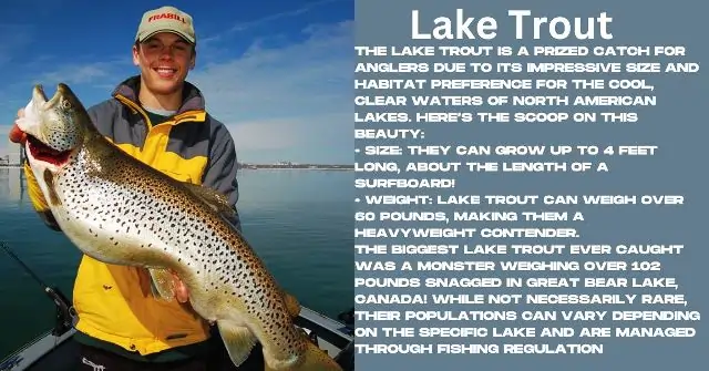  Lake Trout