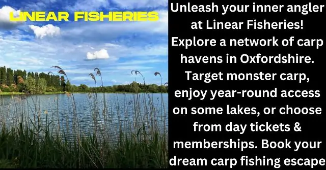 Linear Fisheries