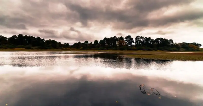 Malahide Estuary