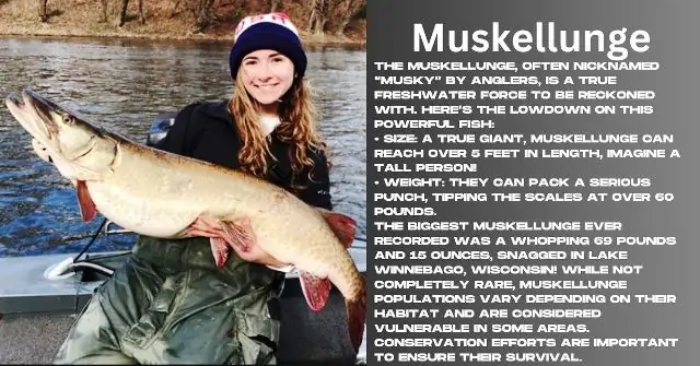 Muskellunge