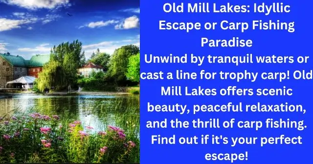 Old Mill Lakes