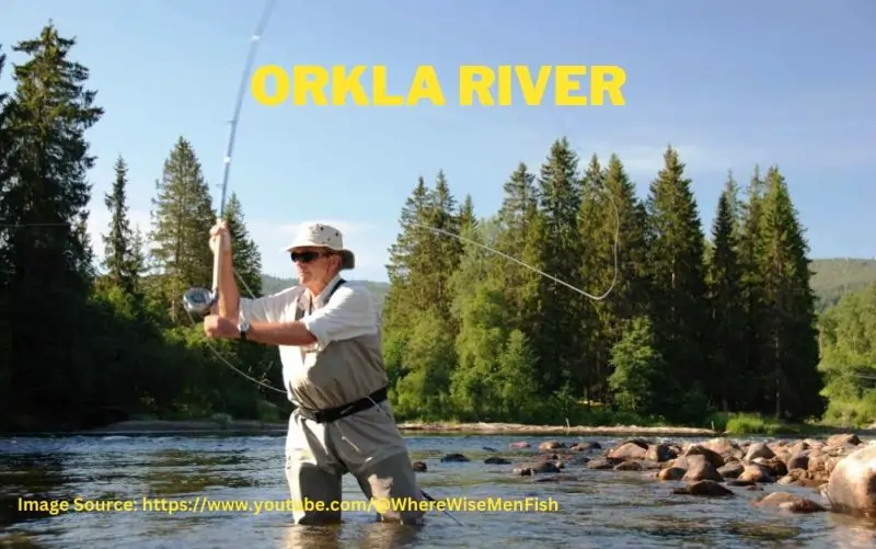 Orkla River