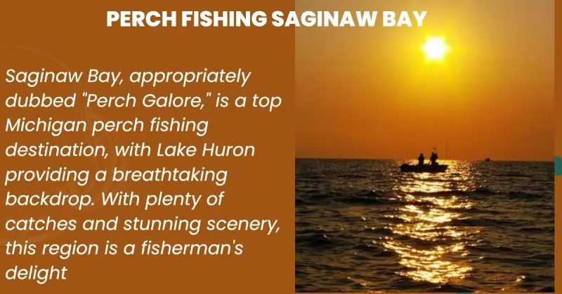 Saginaw Bay