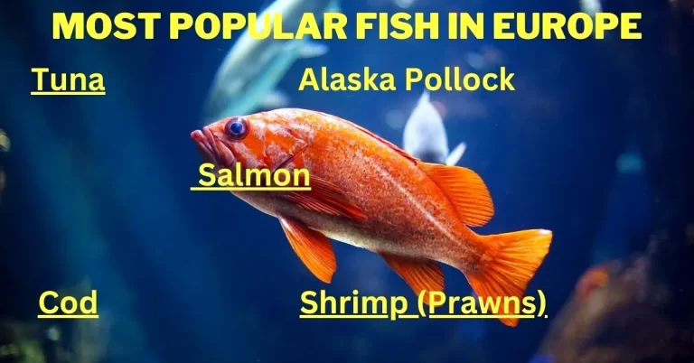 Most Popular Fish in Europe