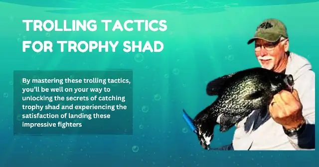 Trolling Tactics for Trophy Shad