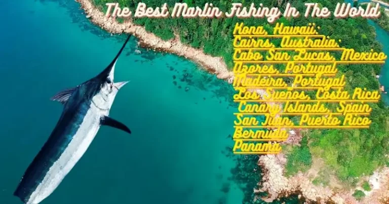 Where Is The Best Marlin Fishing In The World