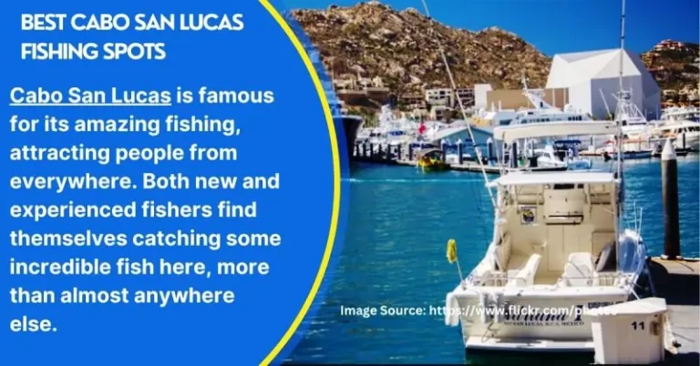 Best Cabo San Lucas Fishing Spots