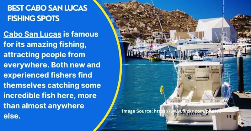 Best Cabo San Lucas Fishing Spots