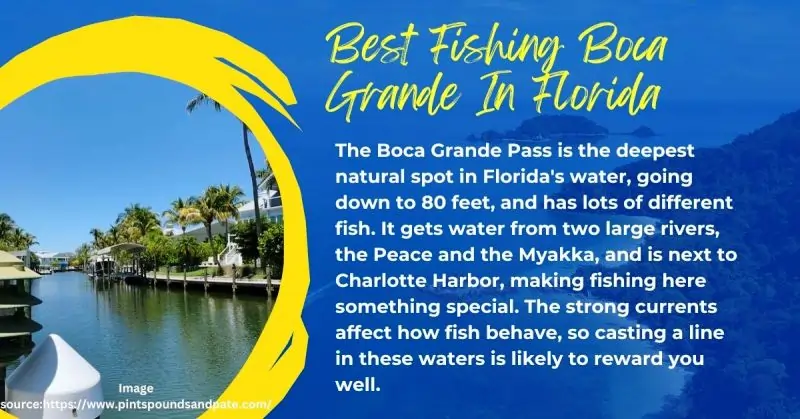 Best Fishing Boca Grande In Florida