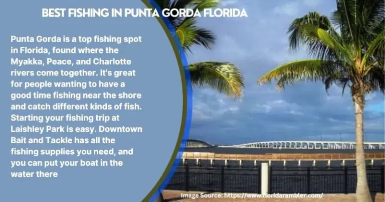 Best Fishing In Punta Gorda Florida
