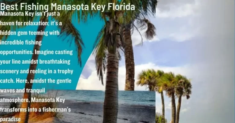 Best Fishing Manasota Key Florida
