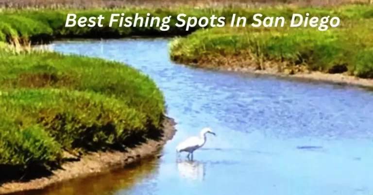 Best Fishing Spots In San Diego