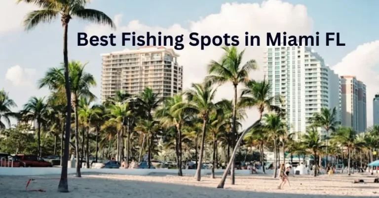 Best Fishing Spots in Miami FL