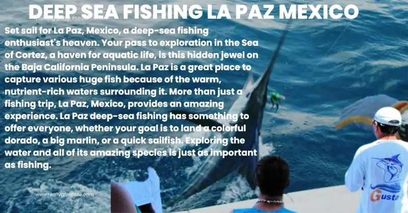 Deep Sea Fishing La Paz Mexico