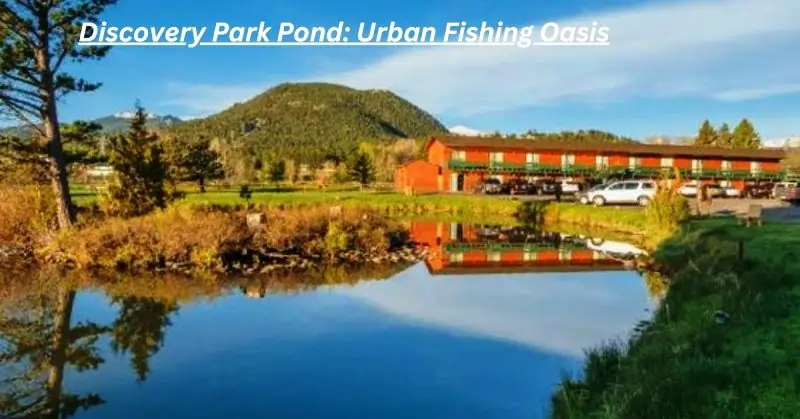 Discovery Park Pond