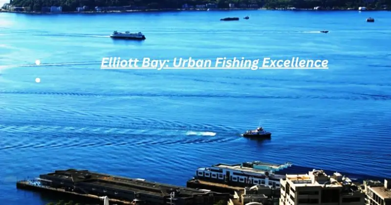 Elliott Bay