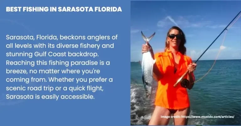 Best Fishing In Sarasota Florida