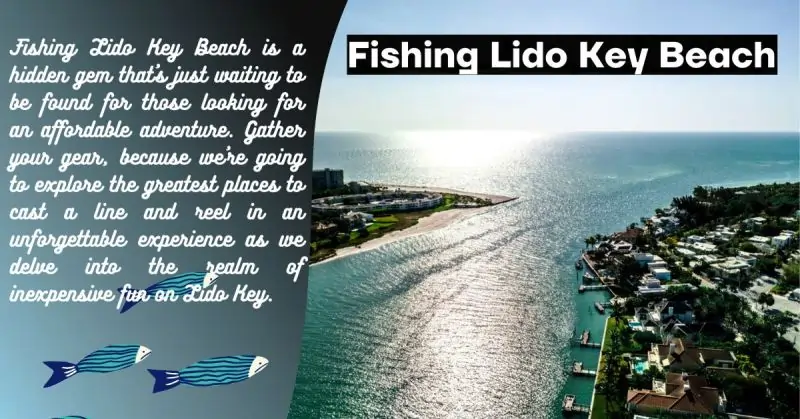 Fishing Lido Key Beach