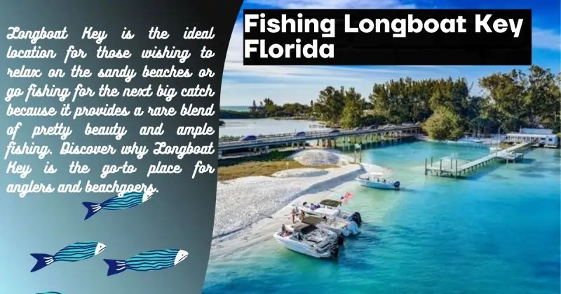 Best Fishing Longboat Key Florida