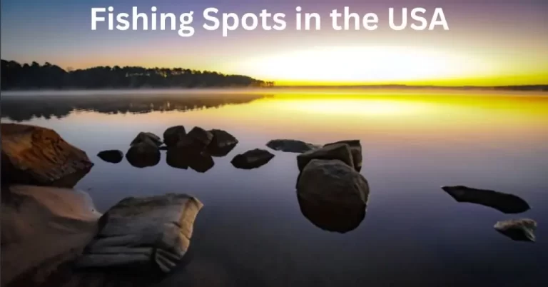 Best Fishing Spots in the USA