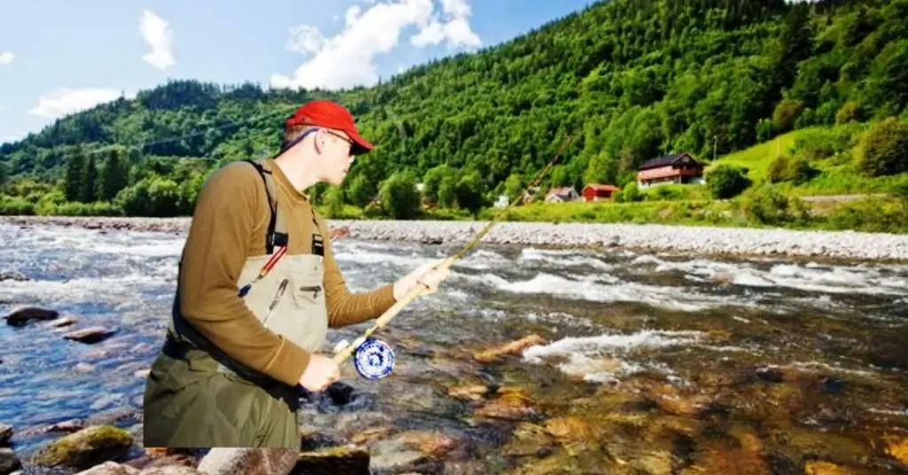 Salmon Fishing Gaula River Norway