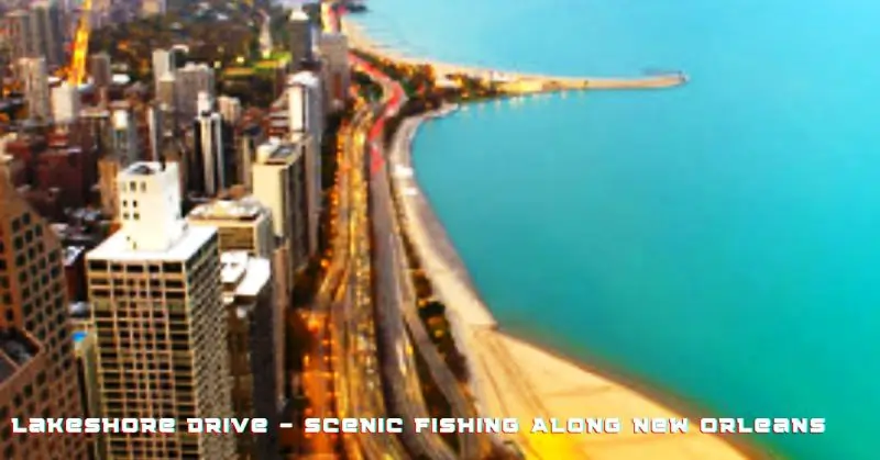 Lakeshore Drive