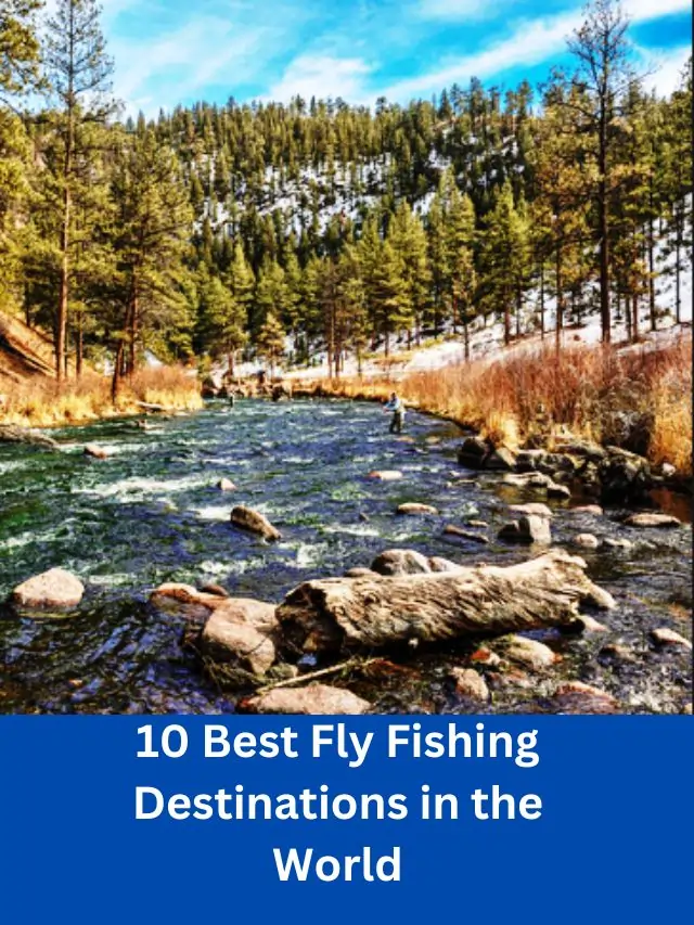 10 Best Fly Fishing Destinations in the World