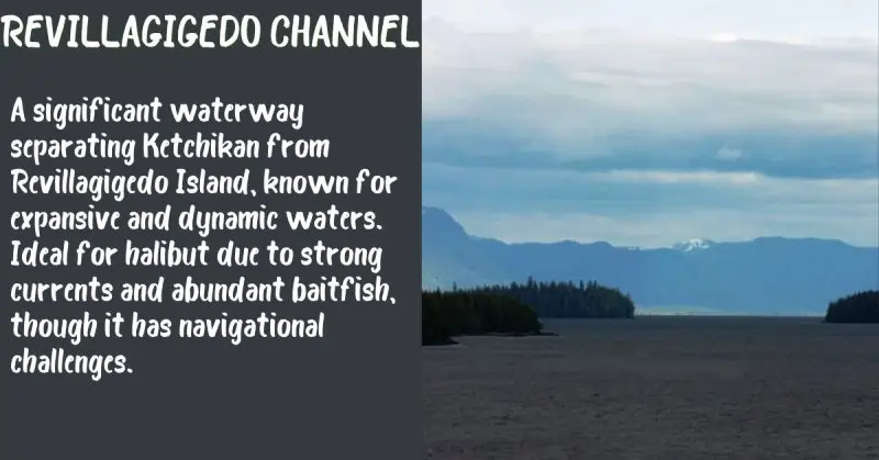 Revillagigedo Channel