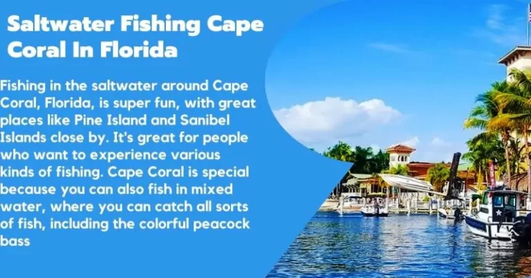 Saltwater Fishing Cape Coral In Florida