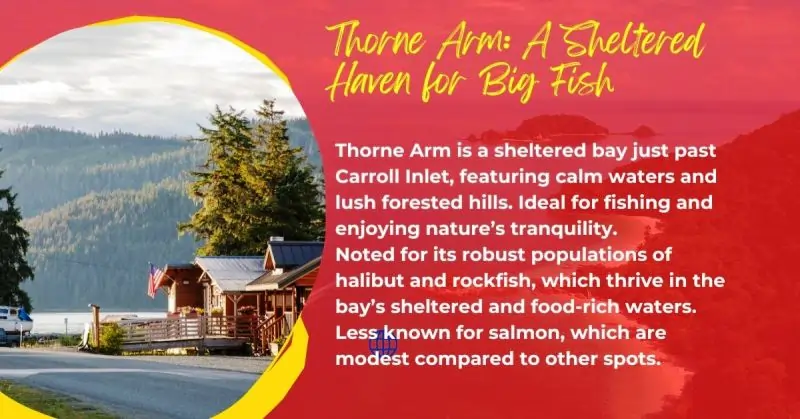 Thorne Arm