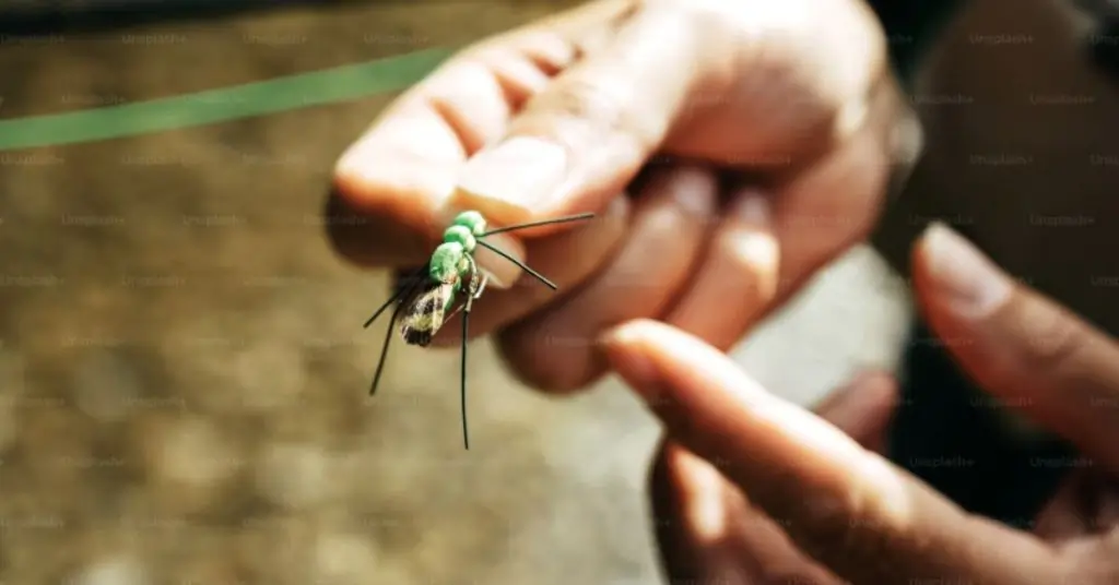 Best Fly Tying Tutorials For Beginners