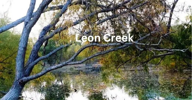 Leon Creek