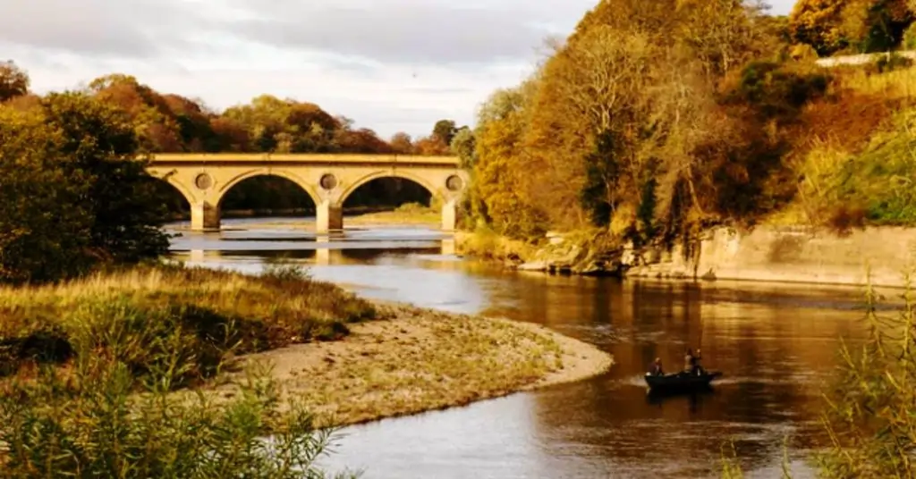 River Tweed Salmon Fishing