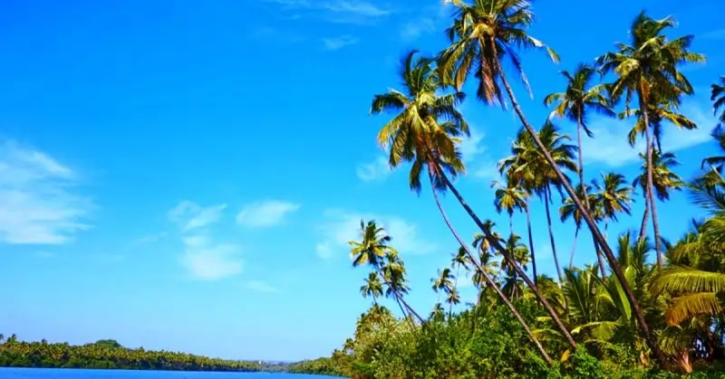 Chapora River & Backwaters